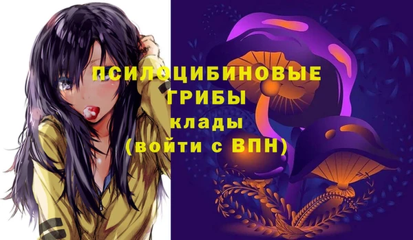 apvp Кукмор
