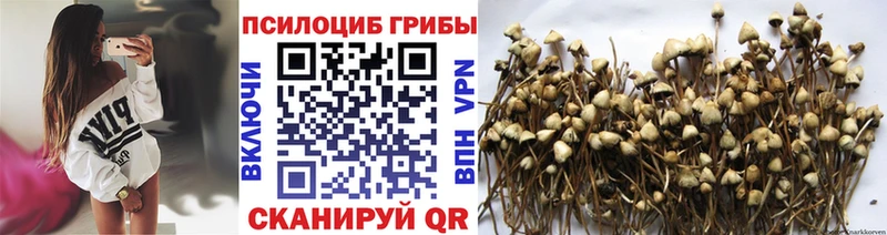 Псилоцибиновые грибы MAGIC MUSHROOMS Ефремов